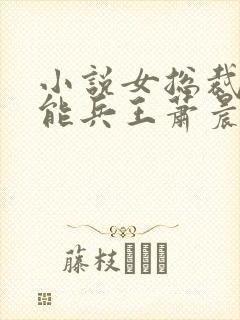 小说女总裁的全能兵王萧晨