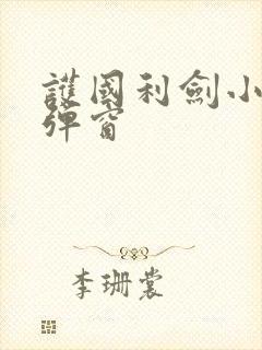 护国利剑小说无弹窗