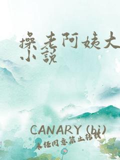 操老阿姨大屁股小说