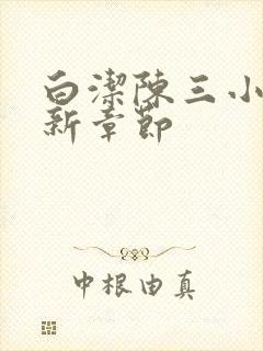 白洁陈三小说最新章节