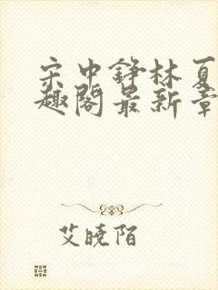 宋中铮林夏移笔趣阁最新章节