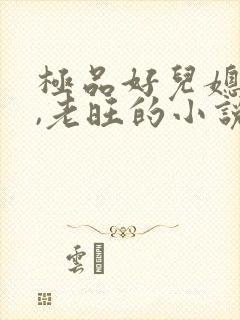 极品好儿媳秦雨,老旺的小说免费阅读