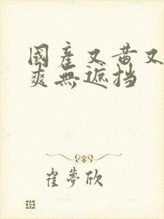 国产又黄又色又爽无遮挡