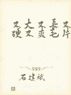 又大又长又粗又硬又爽毛片