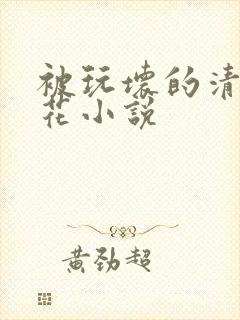 被玩坏的清纯校花小说