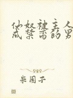 仙奴被主人调教成禁脔的男男小说