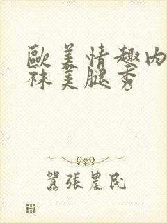 欧美情趣内衣丝袜美腿秀