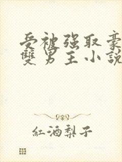 受被强取豪夺的双男主小说