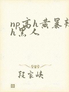 np高h黄暴辣h黑人