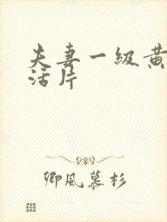 夫妻一级黄色生活片