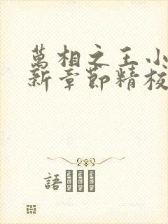 万相之王小说最新章节精校版