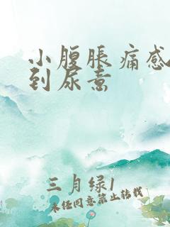 小腹胀痛感觉不到尿意