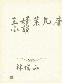 王婿叶凡唐若雪小说