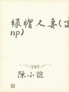 绿帽人妻(高hnp)