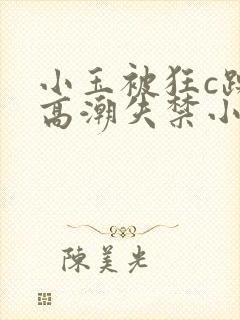 小玉被狂c躁到高潮失禁小说