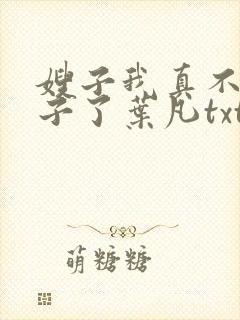 嫂子我真不是傻子了叶凡txt免费完整版
