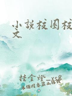 小说校园校霸甜文