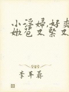 小淫妇,好爽,嫩苞又紧又嫩小说