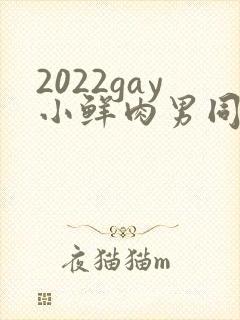 2022gay小鲜肉男同