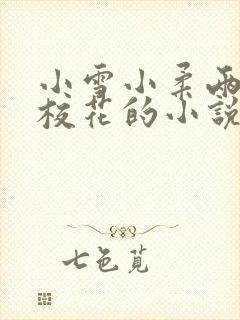 小雪小柔两个大校花的小说免费阅读