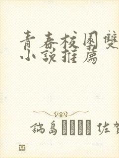 青春校园双男主小说推荐