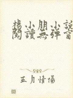 杨小朋小说免费阅读无弹窗