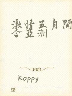 激情五月开心综合亚洲