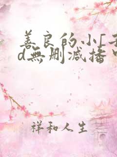 善良的小[子hd无删减播中文