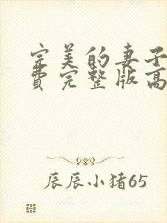 完美的妻子6免费完整版高清韩剧