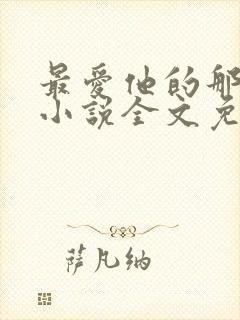 最爱他的那十年小说全文免费阅读