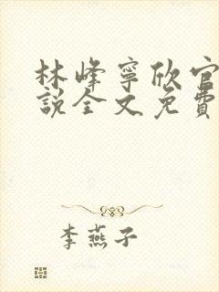 林峰宁欣官场小说全文免费阅读