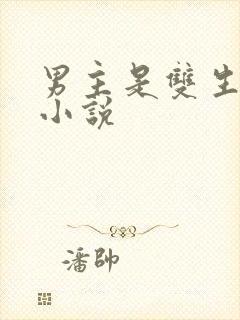 男主是双生子的小说