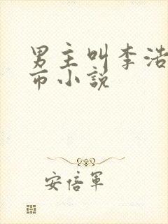 男主叫李浩的都市小说