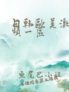 日韩欧美激情视频一区