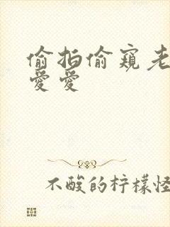 偷拍偷窥老熟女爱爱