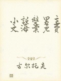 小说双男主男友文海棠免费阅读