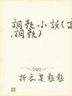 调教小说(高h,调教)