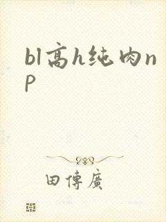 bl高h纯肉np