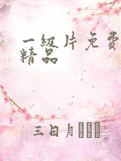 一级片免费国产精品
