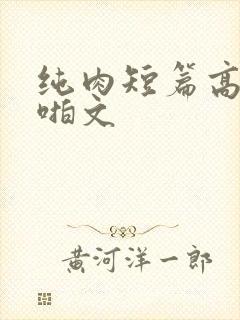 纯肉短篇高h啪啪文