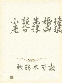 小说先婚后爱:老公很凶猛免费阅读