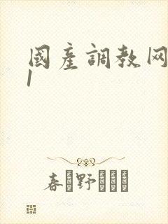 国产调教网址91