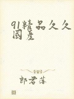 91精品久久久国产