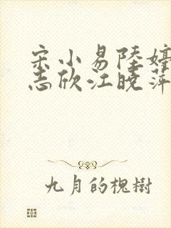 宋小易陆婷婷高志欣江晓萍小说全文在线阅读