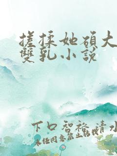 搓揉她硕大丰满双乳小说