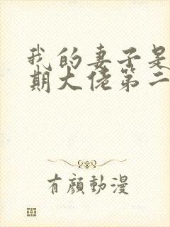 我的妻子是大乘期大佬第二季