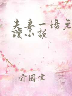 夫妻一场免费阅读小说