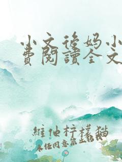 小文后妈小说免费阅读全文最新章节