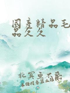 国产精品毛片极品久久