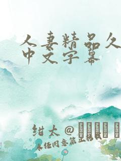 人妻精品久久久中文字幕